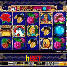 Descubra a Essência do hbet: Nossa História e Compromissos